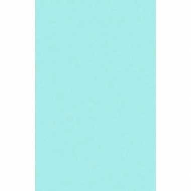 Mint blauw tafelkleed tafellaken 138 x 220 cm van papier met plastic laagje